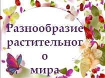 Презентация к уроку биологии в 5 классе по теме: Разнообразие растительного мира