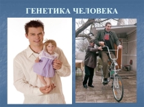Презентация по биологии Генетика человека
