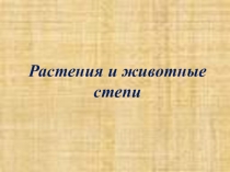 Презентация Растения и животные степей