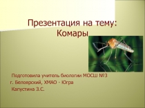 Презентация по биологии для 7 класса Комары