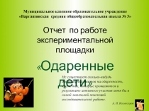 Презентация отчет Одаренные дети