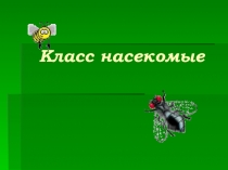 Презентация насекомые для 3 класса