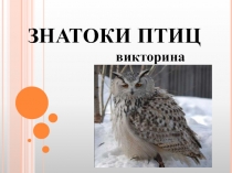 Презентация для внеклассной работы по биологии  Викторина:  Знатоки птиц