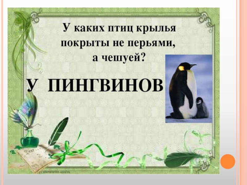 Викторина по биологии презентация с ответами