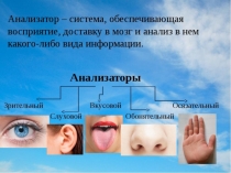 Презентация по биология на тему Зрительный анализатор