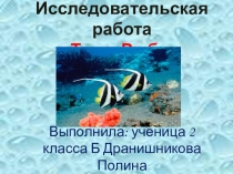 Исследовательская работа по теме Рыбы