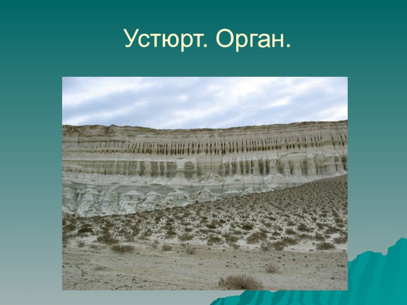 Особенности рельефа Казахстана Устюрт. Орган. Устюрт. Орган.
