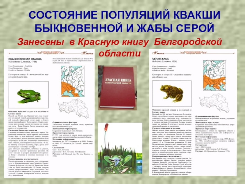 Красная книга растения белгородской области фото и описание