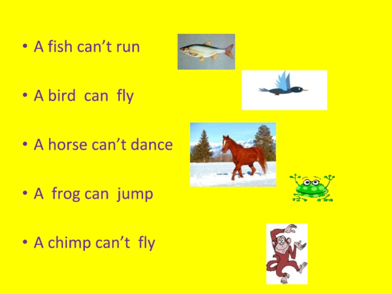 Песня i can run. РТ англ 2 класс i can Jump. Карточки Fish, Bird, Horse, Frog, Chimp на английском. I can Jump задать вопрос. I can Jump 2 класс Spotlight презентация.