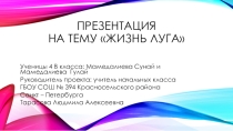 Презентация к уроку на тему: Жизнь луга.