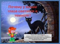 Презентация по теме Почемучка Почему у кошки глаза светятся в темноте?