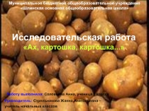 Презентация исследовательской работы по теме Ах, картошка, картошка!