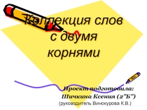 Презентация по теме Слова с двумя корнями