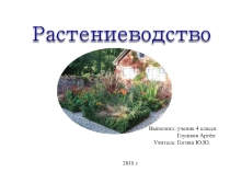 Проект по окружающему миру по теме: Растениеводство