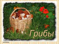 Презентация к уроку развитие речи на основе предметов и явлений окружающей действительности на тему Грибы. Части гриба. Грибы съедобные и несъедобные. (4 класс)