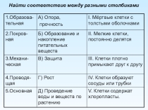 Презентация по биологии на тему Семя, его строение и значение 6 класс