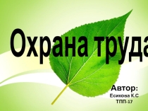 Охрана труда студентки группы ТПП-17 Есиковой Кристины