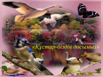 Тәрбие сағаты Құстар біздің досымыз презентация