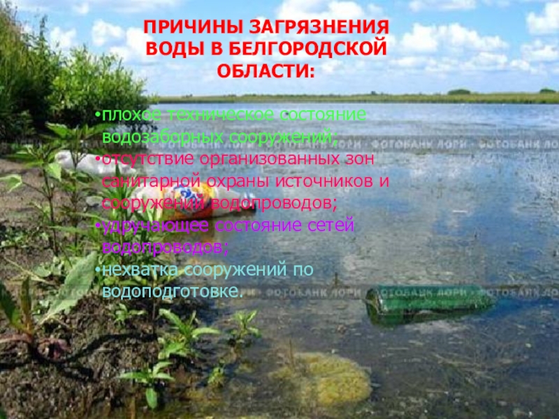 Вода в белгородской области. Причины загрязнения воды воды. Экологические проблемы Белгородской области. Охрана окружающей среды Белгородской области. Охрана окружающей среды выбросы в воду.