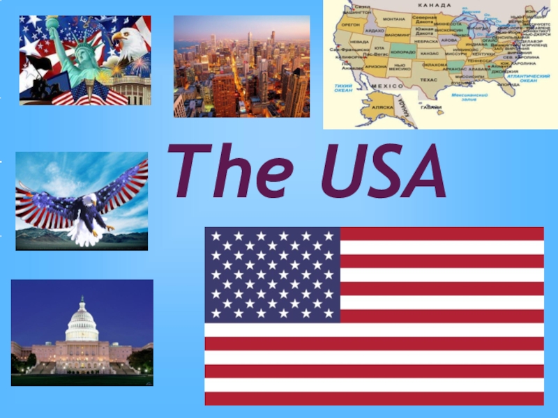 Проект the usa