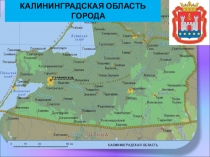 География России. Калиниградская область. Города(8-9 класс)