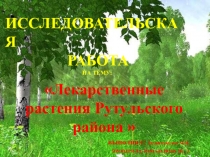 Презентация по окружающему миру на тему Лекарственные растения Рутульского района(3 класс)