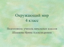 Презентация по окружающему миру Жизнь леса 4 класс