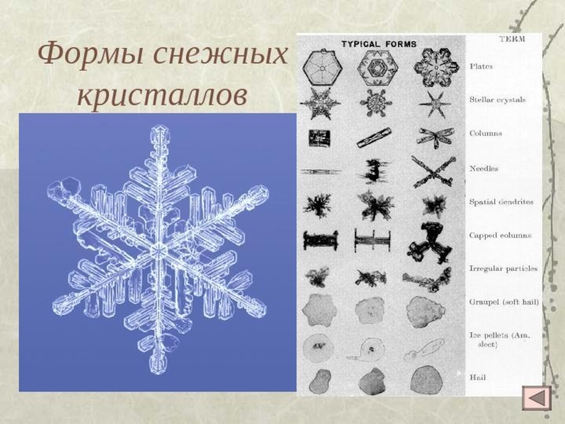 Типы снежков. Типы снежных кристаллов. Формы кристаллов снега. Форма для снега. Снежинка Кристаллы презентация.