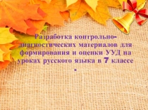Презентация по русскому языку.