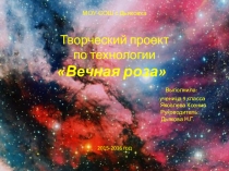 Презентация творческий проект Подушка