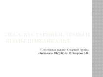 Презентация Растительный мир Прибайкалья