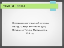 Усатые киты