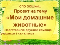 Презентация группового среднесрочного информационно-творческого проекта по окружающему миру во 2классе на тему: Мои домашние питомцы