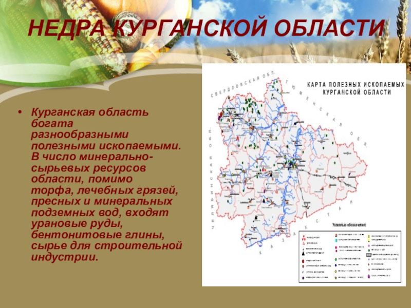 Карта полезных ископаемых курганской области