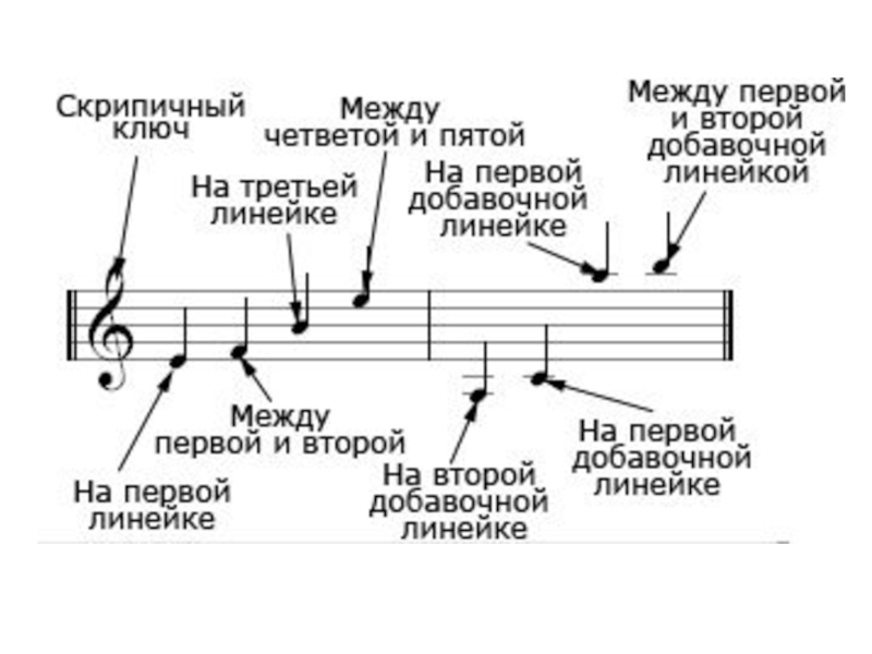 Нотами на какой линейке