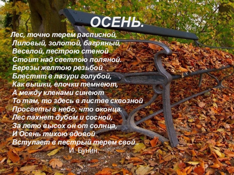 Осенний лес слова. Стих в осеннем лесу. Стихотворение лес осенью. Осень в лесу стихотворение. Лес точно Терем расписной стих.