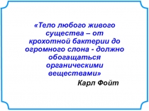 Презентация к уроку биологии Пищеварение в ротовой полости и желудке (8 класс)