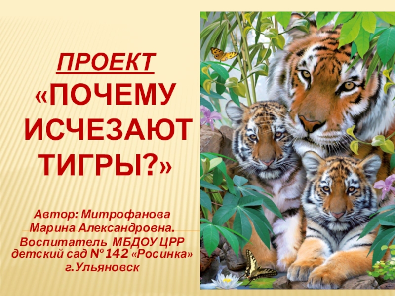 Презентация Презентация по окружающему миру Почему исчезают тигры?
