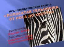 Исследовательская работа Полосатая тельняшка от носа до хвоста