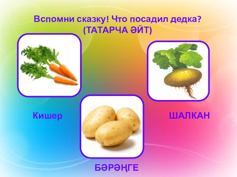 Изучение татарского языка в ДОУ Вспомни сказку! Что посадил дедка? (ТАТАРЧА ӘЙТ)КишерШАЛКАНБӘРӘҢГЕ Вспомни сказку! Что посадил дедка? (ТАТАРЧА ӘЙТ)КишерШАЛКАНБӘРӘҢГЕ