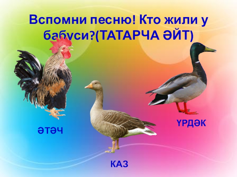 Изучение татарского языка в ДОУ Вспомни песню! Кто жили у бабуси?(ТАТАРЧА ӘЙТ)ӘТӘЧКАЗҮРДӘК Вспомни песню! Кто жили у бабуси?(ТАТАРЧА ӘЙТ)ӘТӘЧКАЗҮРДӘК