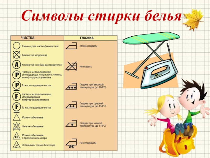 Презентация по домоводству 8 вид