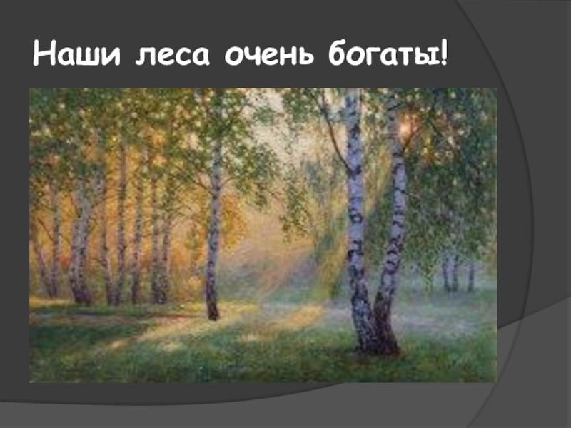 Песня роща круг. Берёзовый лес в живописи Лукиянов. Пейзажист Левитан Березовая роща. Кустодиев Березовая роща.