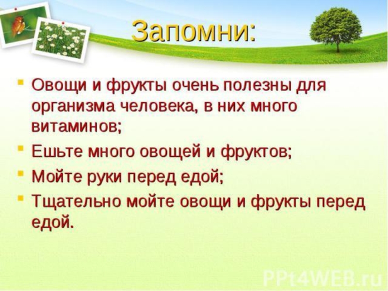 Презентация по окружающему миру 1 класс почему нужно есть много овощей и фруктов школа россии