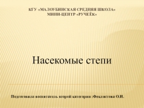 Презентация по ознакомлению с окружающим миром и экологии Насекомые степи