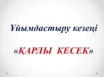 Тұқымды өсімдіктер ашық сабақ презентациясы