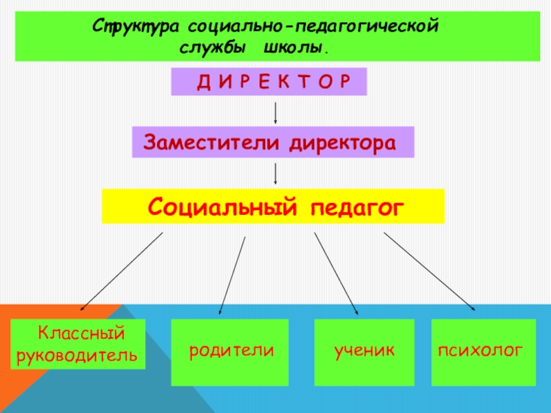 Структура социального проекта в школе