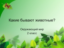 Презентация к уроку окружающего мира на тему Какие бывают животные