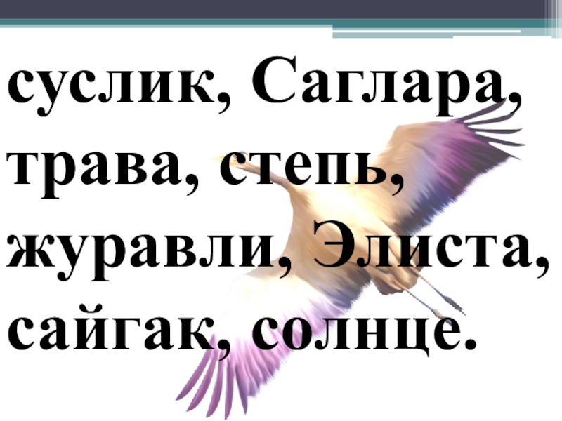 Презентация по русскому языку на тему Части речи (3 класс) суслик, Саглара, трава, степь, журавли, Элиста, сайгак, солнце. суслик, Саглара, трава, степь, журавли, Элиста, сайгак, солнце.