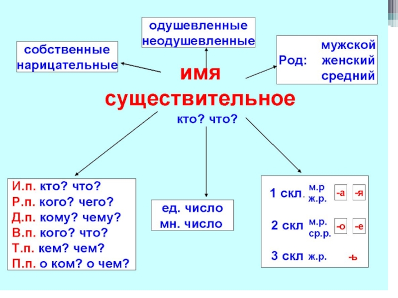 Презентация по русскому языку на тему Части речи (3 класс)